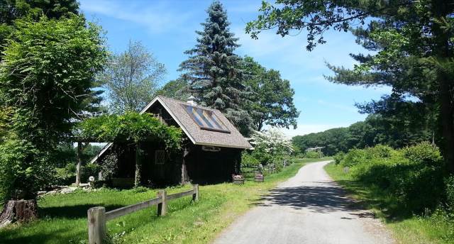 Evergreen Berry Farm